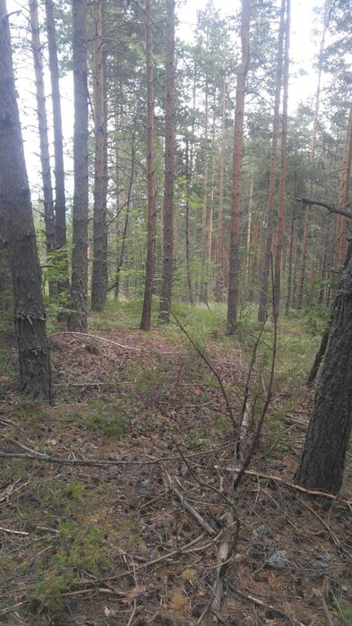 Земеделска земя до язовир, 4 дка.