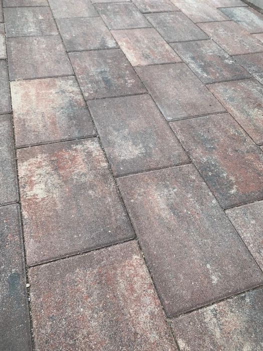 Pavele Borduri Montaj