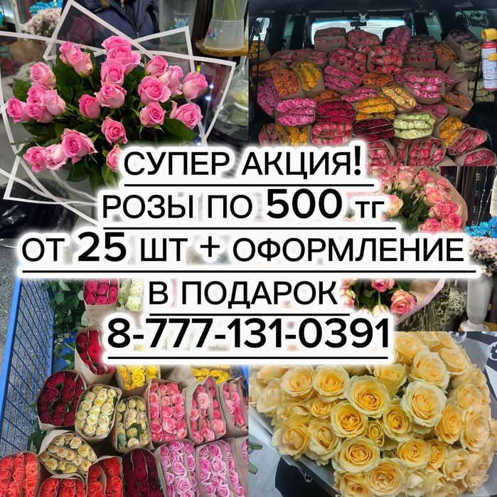 Розы по акции от производителя.