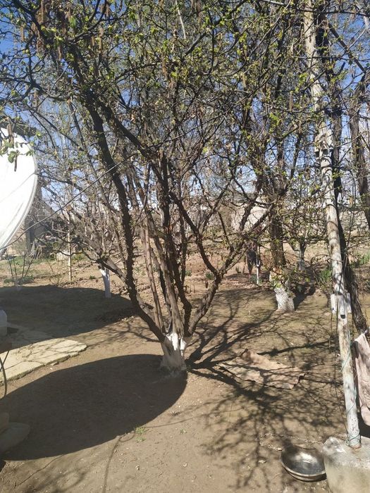 Продается Дом, участок 17 соток