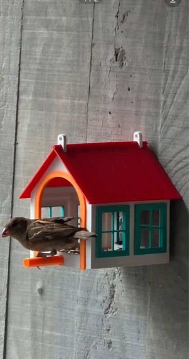 Птичий домик | Кормушка