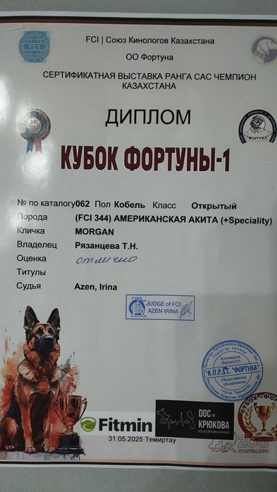 Вязка Американская Акита