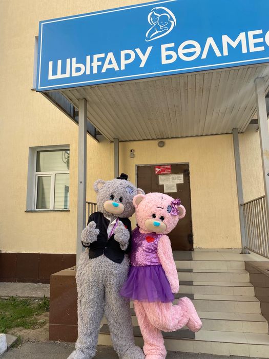 Прокат, аниматоры мишки тедди