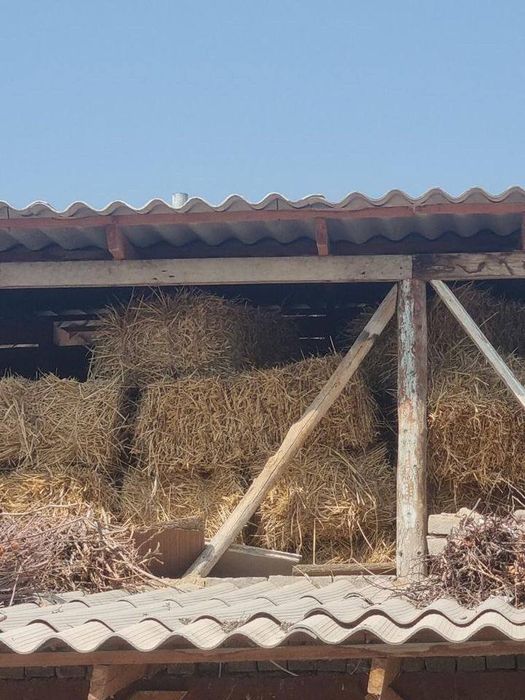 Somon press bor fargona