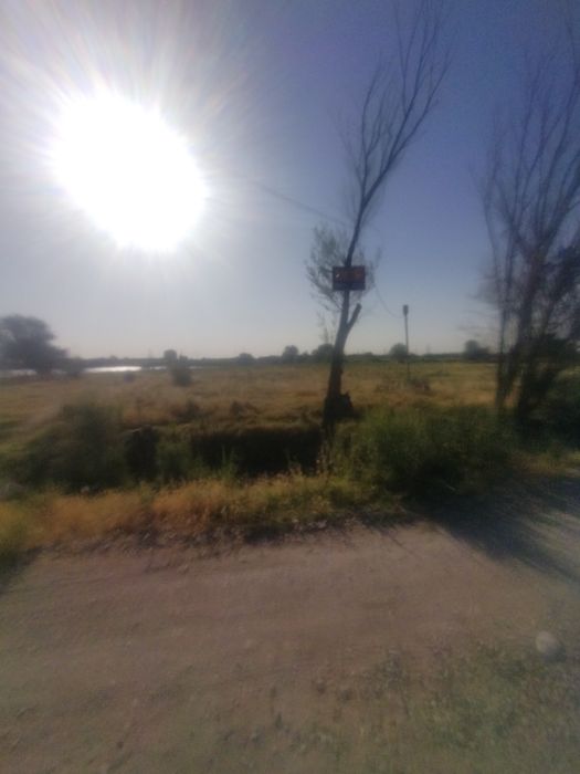 12sotix yer zabor oralgan wilakdan