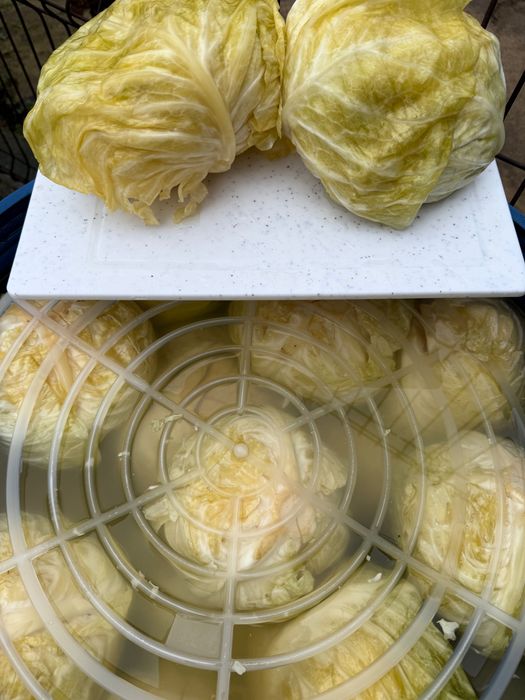 Vand varză murată.