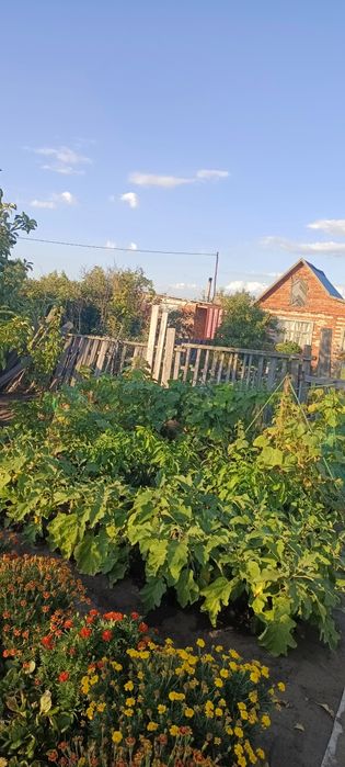 Продам дачу 6 общество