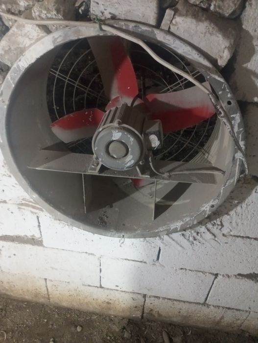 Vintilyator havoni soʻradigan kafolat bor