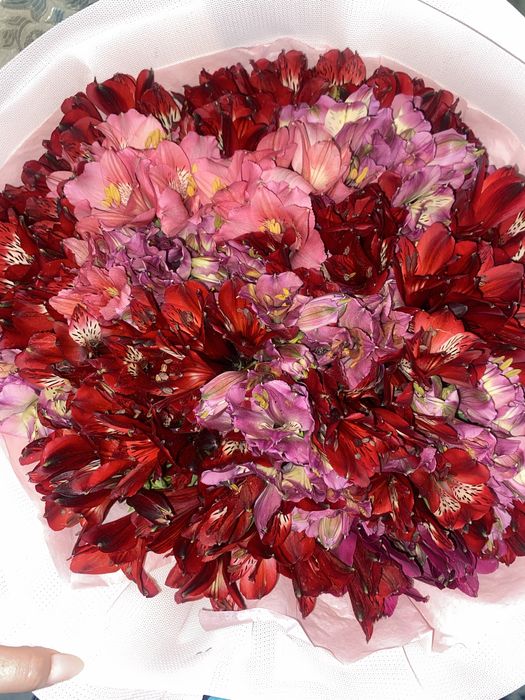 цветы  свежие новые