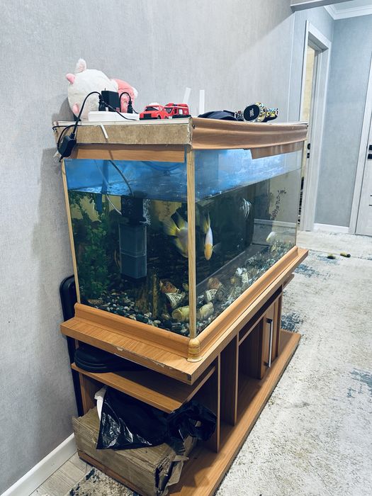 продаю аквариум 250литр