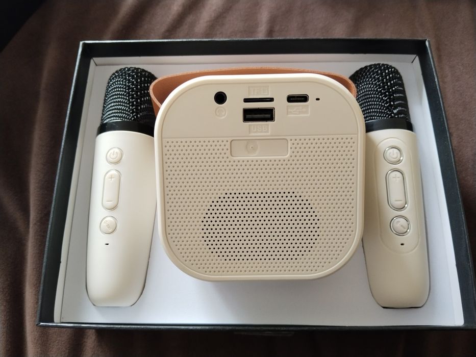 Портативный домашний караоке