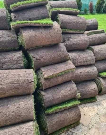 Gazon Rulou Premium – Curte Verde în Timp Record