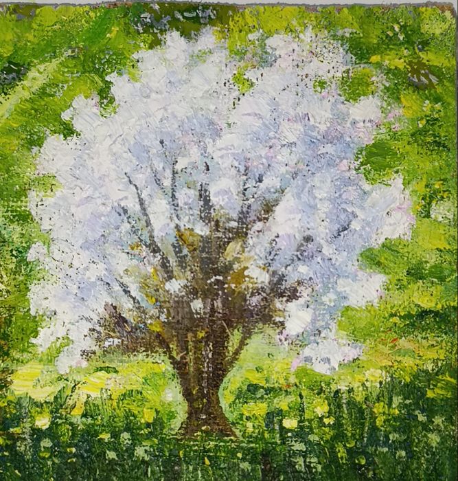 Реставратция номер. Номер тамирлаш хизмати