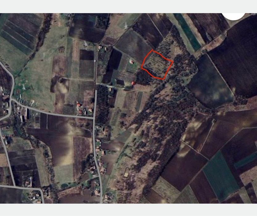 Vand Teren cu livada