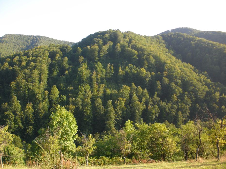 Парцел в с.Рибарица