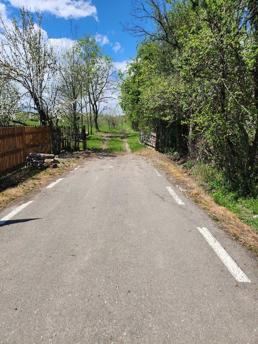 Vand teren 16000 mp intravilan/extravilan in zona Valenii de Munte jud. Prahova