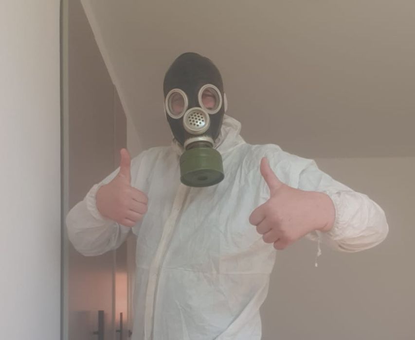 Услуги по дезинсекции и дератизации