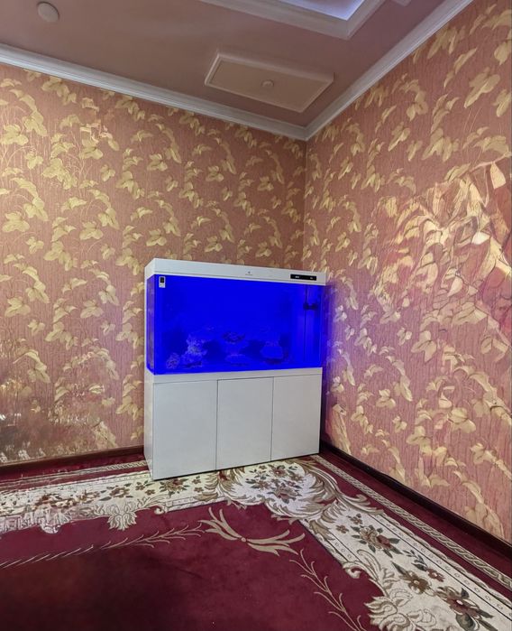 Чистка аквариума | Akvarium tozalash hizmati