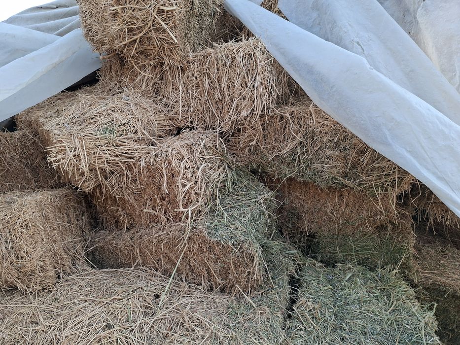 Beda press. Beda pres