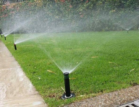 Yevro gazon ekamiz va urugini sepamiz sipatli garantya  beramiz chqshg