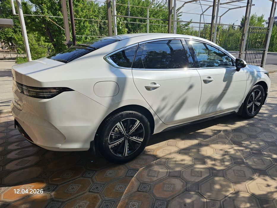 BYD Chazor 120 Flagship 2023