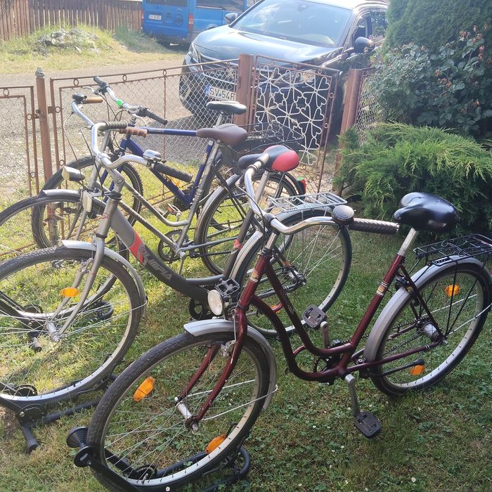 Bicicleta olandeză adulți /damă single speed