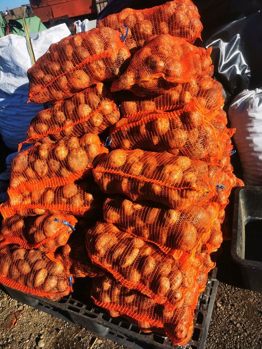 Vând cartofi 1 leu kg