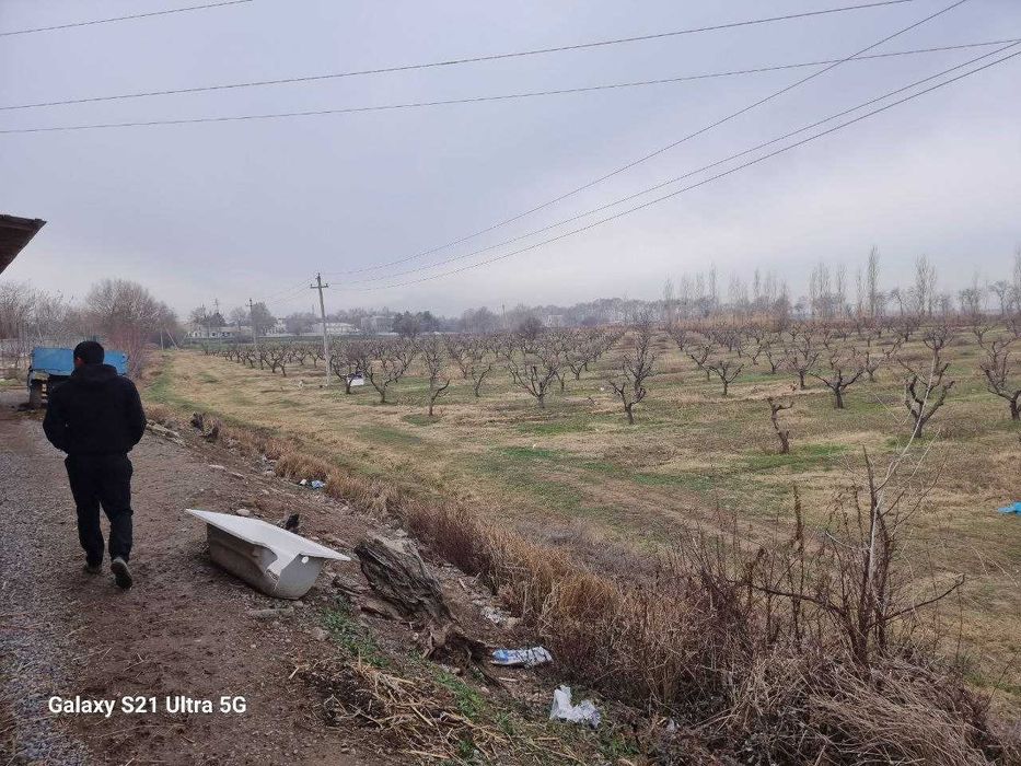 Продаётся Фирма, с Постройками и с Земельным участком - 7,8Га. Кибрай
