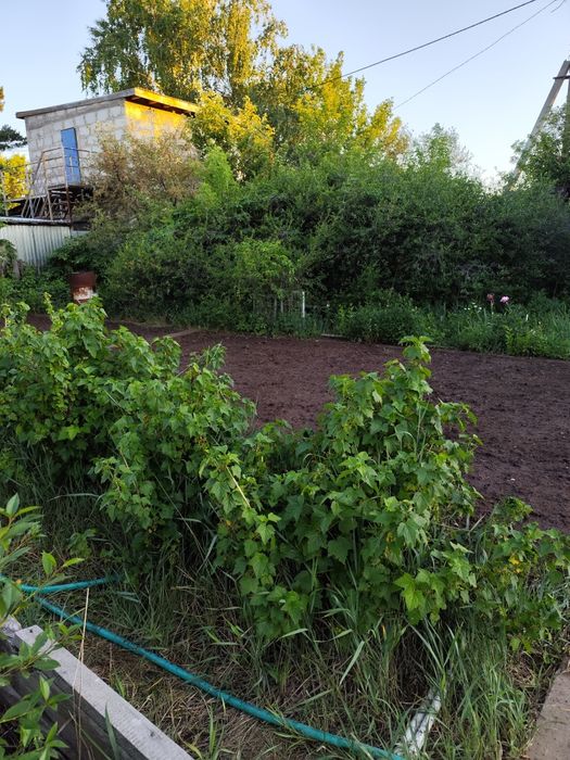 Продается дача  Федоровский дачи