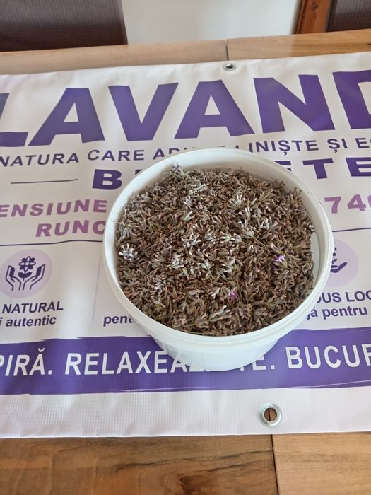 Floare de lavanda la kg