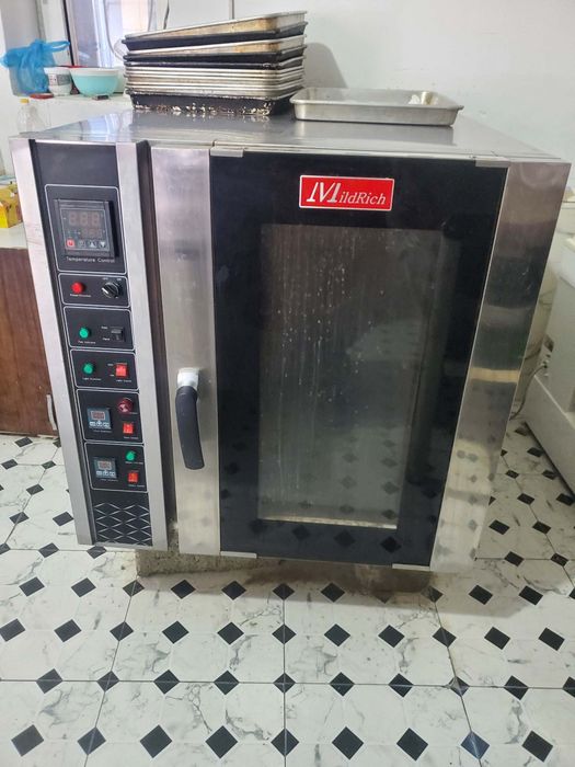 Kinveksionniy pech mild rich