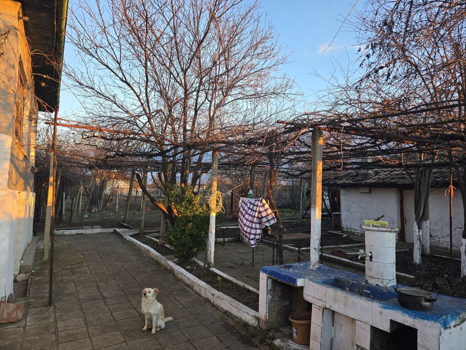 Продава се Къща в с. Борец, Област Пловдив - 212 кв.м за 236 €/кв.м - Снимка #2