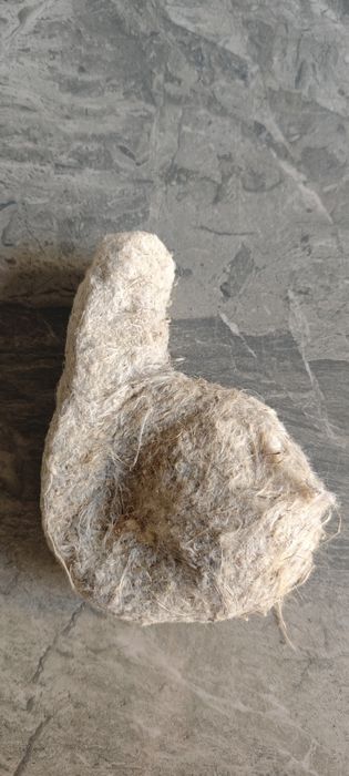 Гнездо Курултая  живая