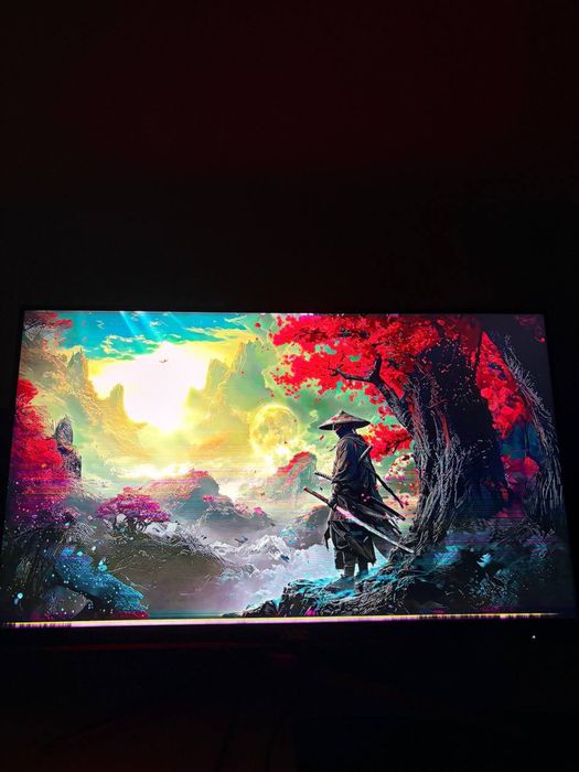 Игровой монитор AOC 24” 165HZ