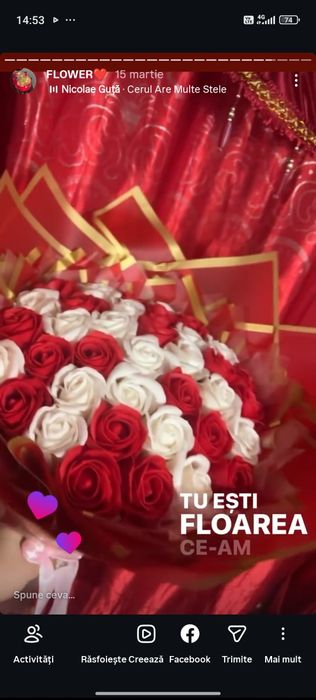 Flori din satin și săpun