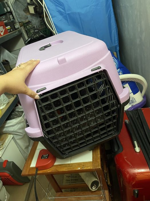 РЕЗЕРВИРАНО ДО 21.02 Котка всичко за 100€ прочети описание