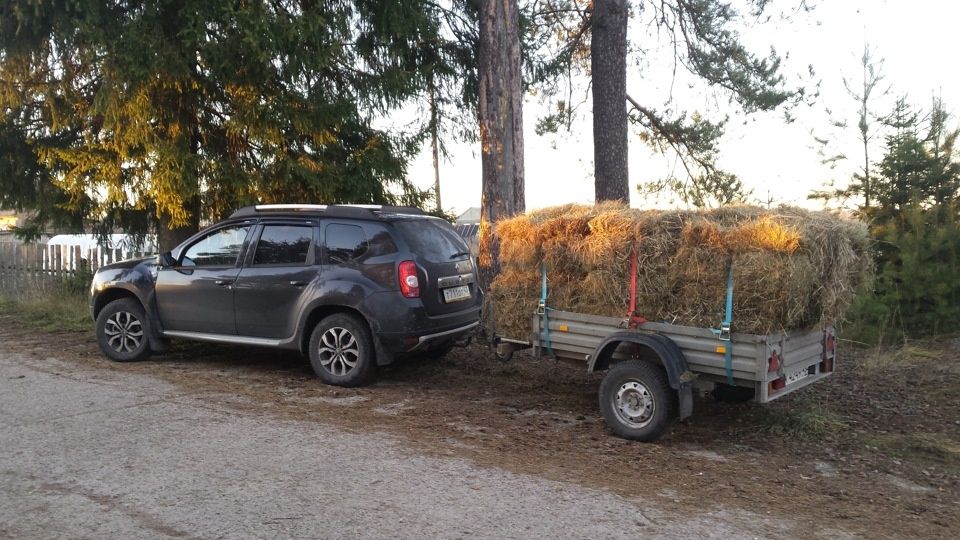 Спил деревьев ит.д