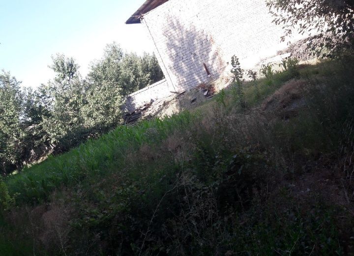 Йер сотилади 8 соток