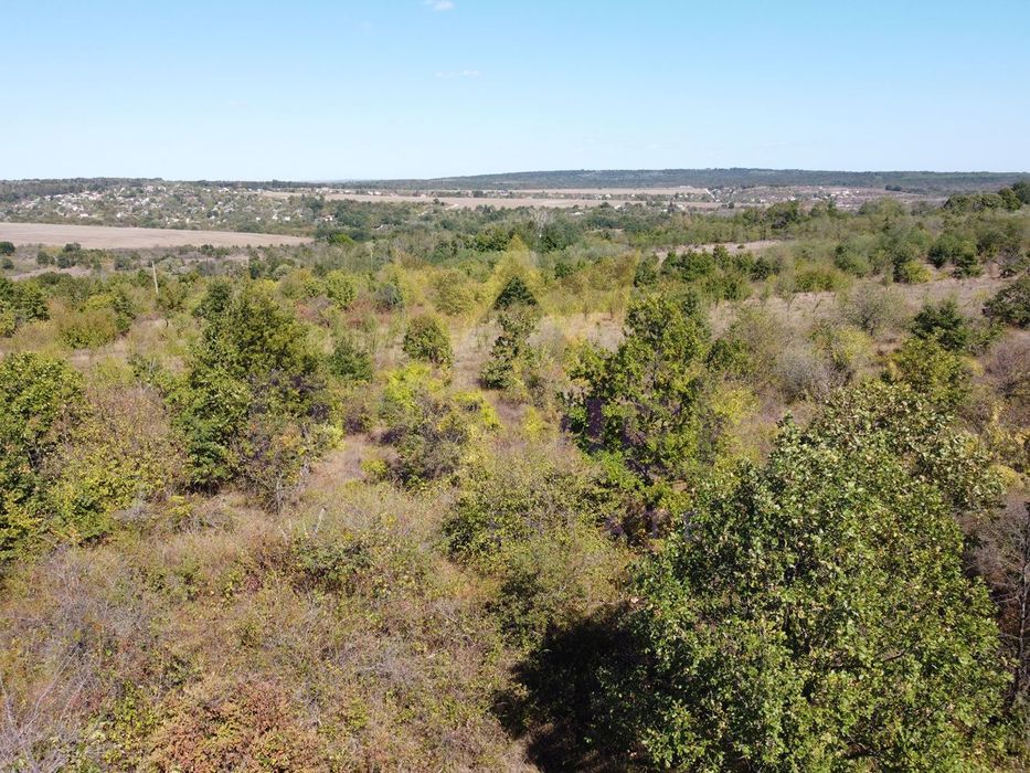 Продава се Парцел в с. Приселци, Област Варна - 11399 кв.м за 7 €/кв.м - Снимка #4