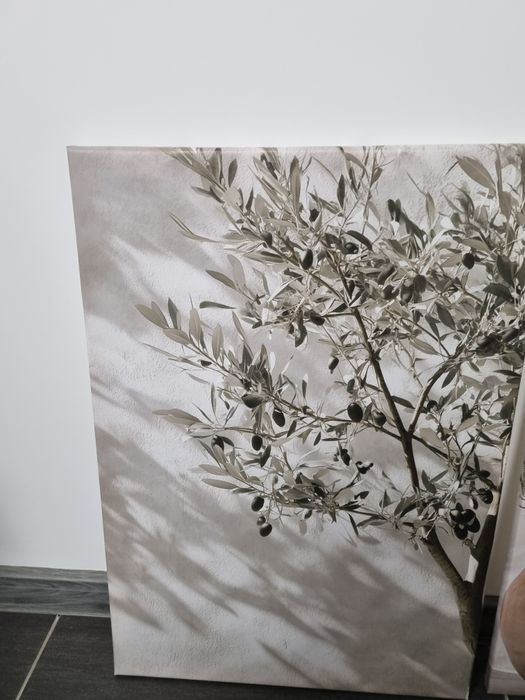 Комплект картини 2 броя 46/65