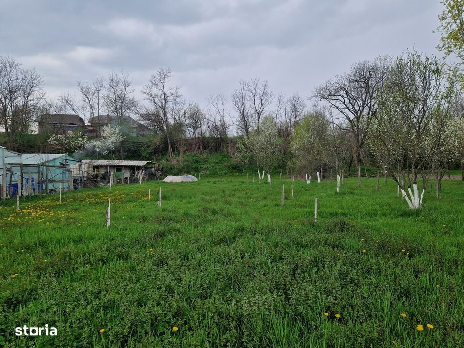Teren in Motaieni