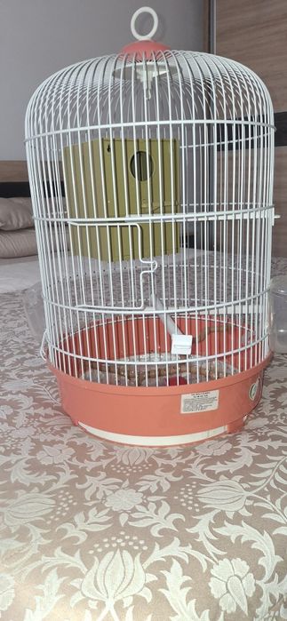 Colivie cusca papagali perusi ca noua