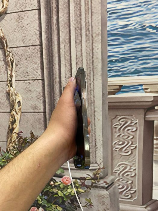 Iphone 13pro max 256gb 79%yomkst