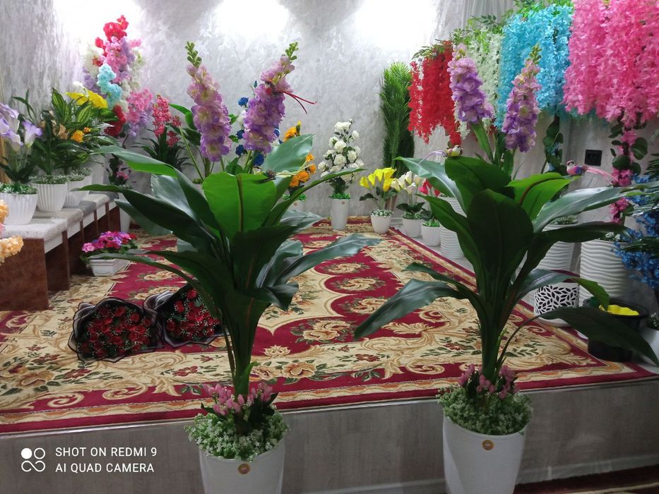 "Sotuvda serhasham sun'iy gullar (bo'yi 1.5 m dan baland)"