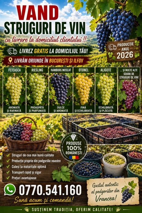 Struguri de vin diferite soiuri la domiciliu