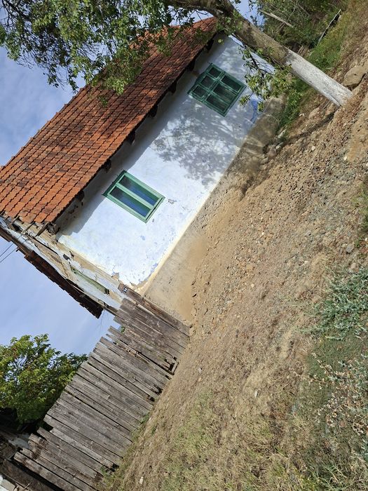 Vand Casa cu gradina