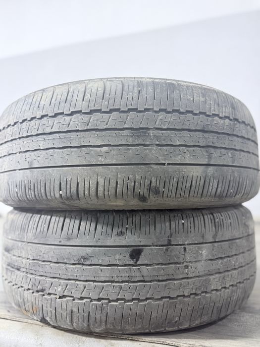 Шины лето 2 шт 19R