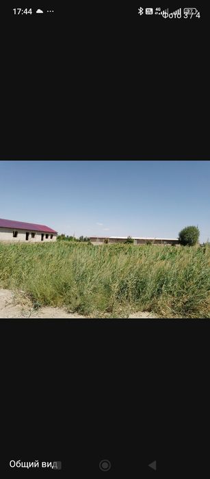 Olotda Yer sotiladi 17.5 sotiq