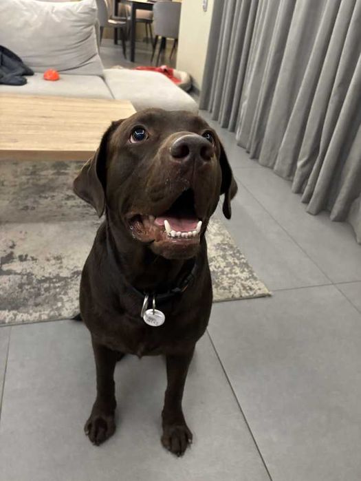 GPS тракери FindMyStuff - Цена: 24.99 лв./12,78€