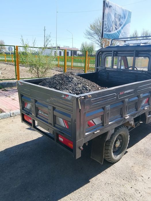 Муравей трицикл skilmax